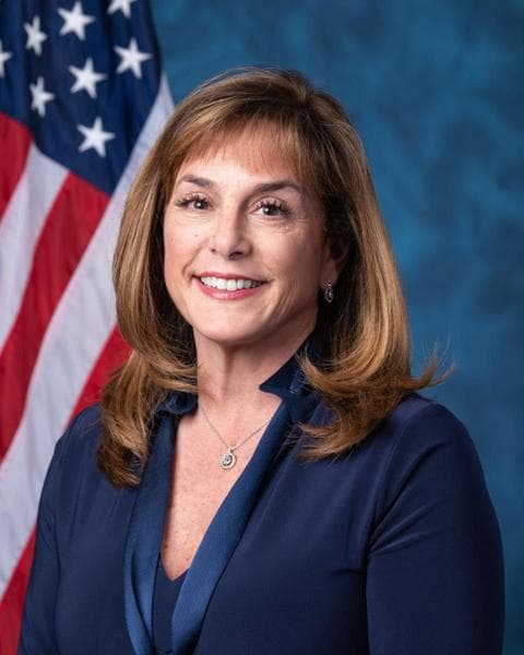 Rep. Lisa McClain headshot